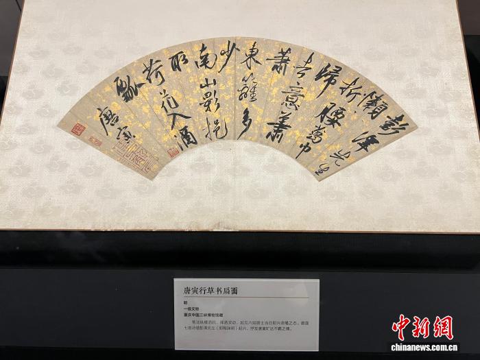 巅峰国际
